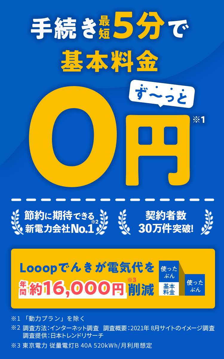 looopでんきなら払うのは使った分だけ!